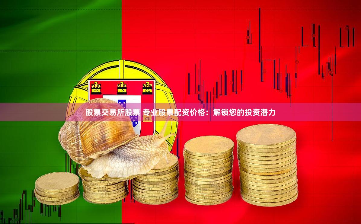 股票交易所股票 专业股票配资价格：解锁您的投资潜力