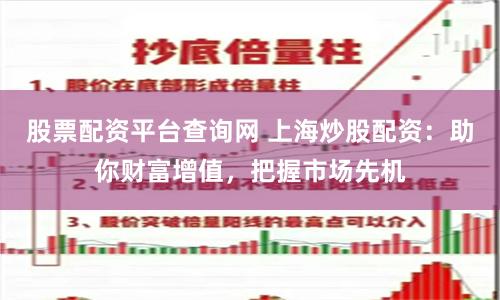 股票配资平台查询网 上海炒股配资：助你财富增值，把握市场先机