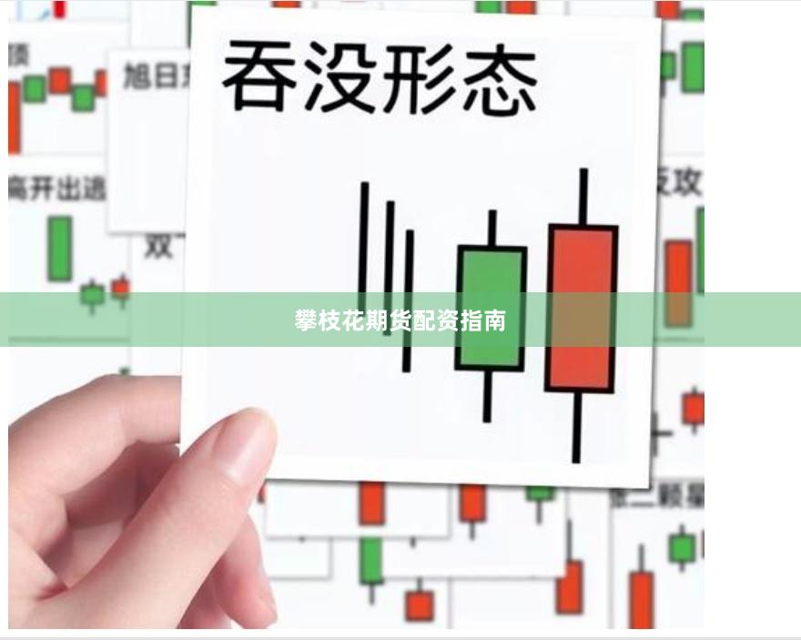 攀枝花期货配资指南