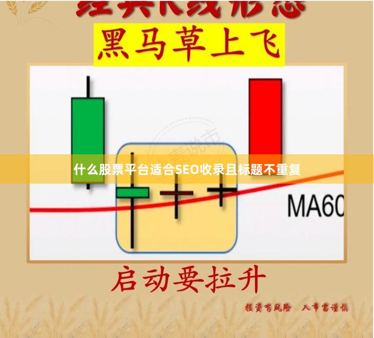 什么股票平台适合SEO收录且标题不重复